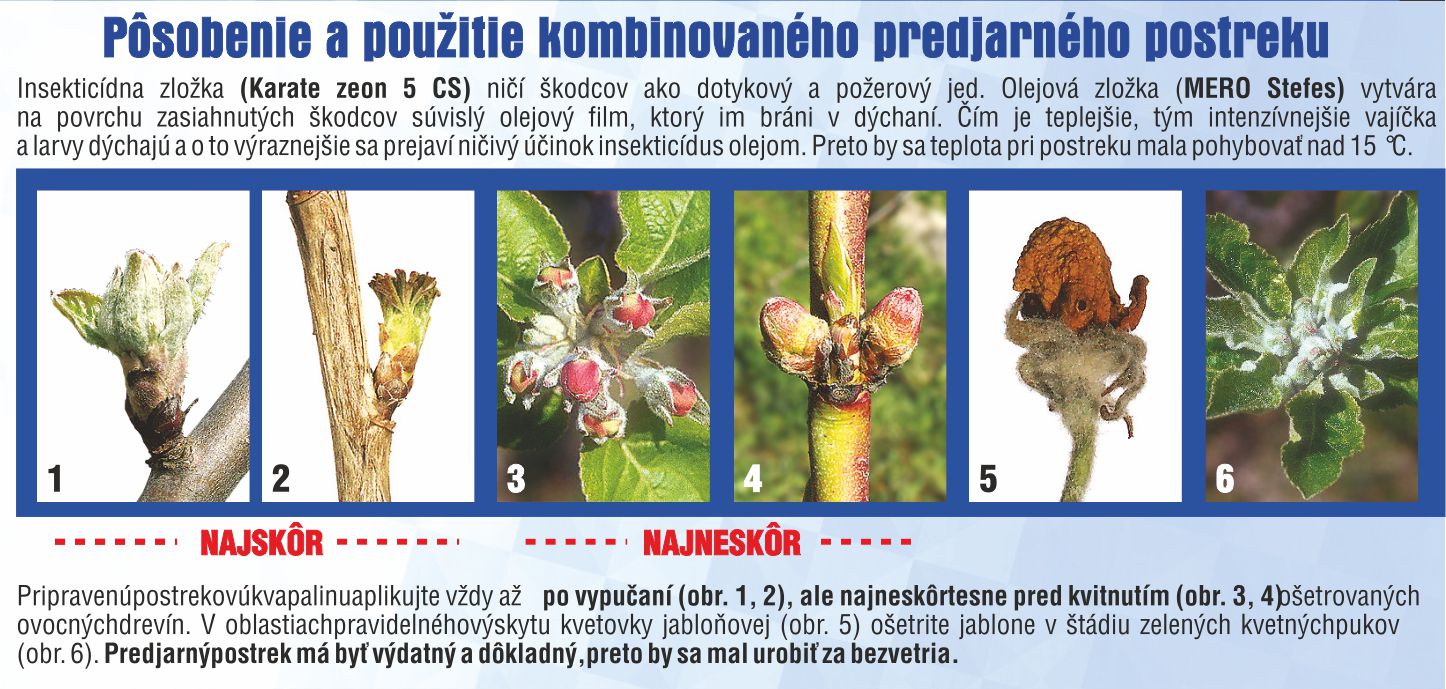 PREDJARNY POSTREK