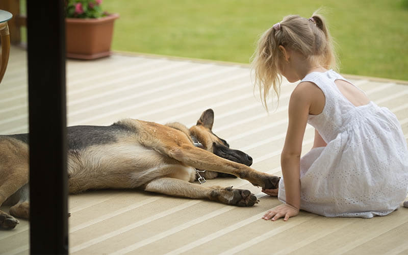 dievčatko a pes