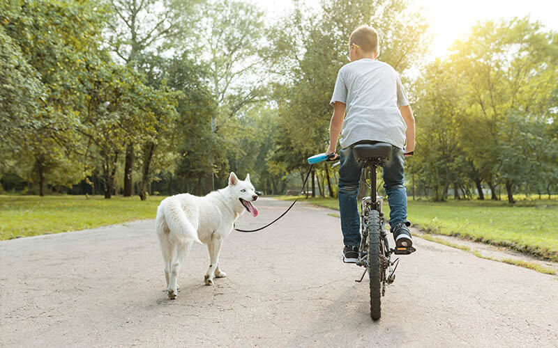 vencenie na bicykli