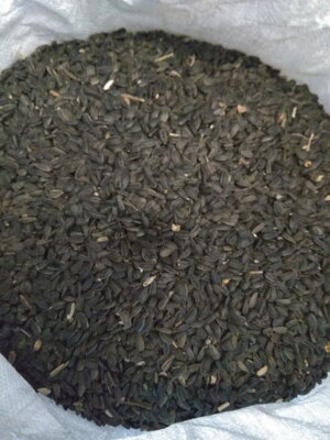 Slnečnica čierna (25kg)
