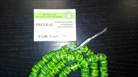 Krúžok pre poštové holuby