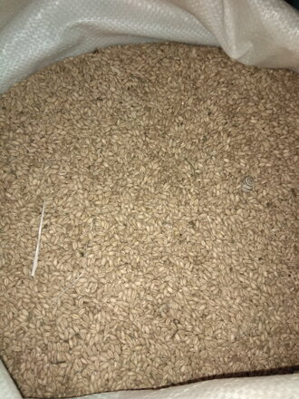 Pšenica (25kg)