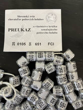 Krúžok pre poštové holuby 2025