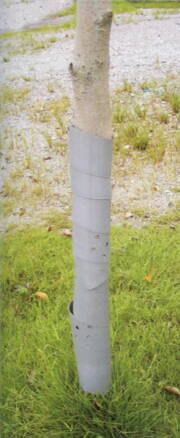 Ochrana GreenGarden GUARDIAN, 100 cm, bal. 3 ks