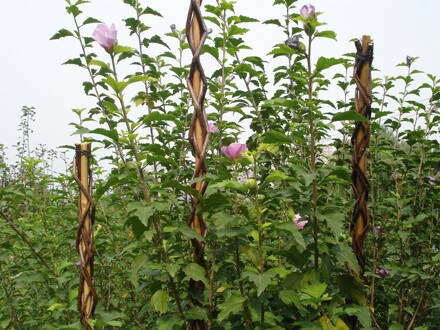 Tyc Garden Willow 130 cm, prútená