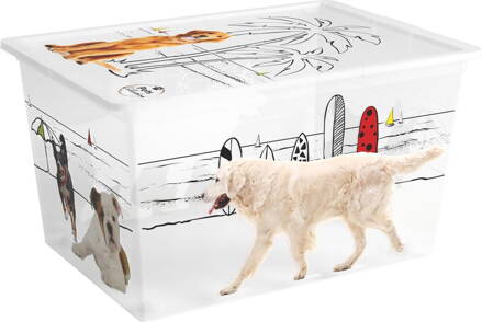Box KIS C Style Pets XL, 50L, 39x55x31 cm, s vekom