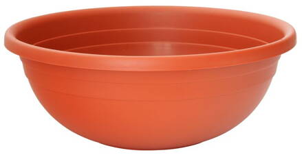Kvetinac ICS CLIVIA 40x14 cm