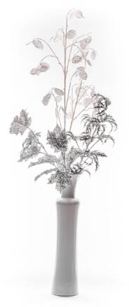 Vetvicka MoneyPlant.White, biela, 56/107 cm