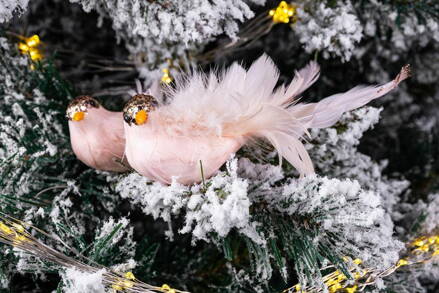 Vtáčik so štipcom MagicHome, ružový, 14x6x5 cm, 2 ks