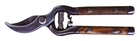 Noznice Strend Pro P4740, na hrozno