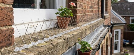 Zábrana Strend Pro, 40 hrotov, L-50 cm, PC UV, proti vtákom, PC base, hroty