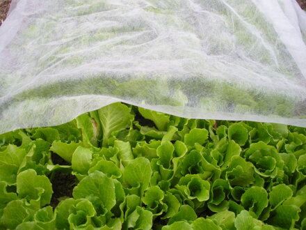 Textilia Garden B1105 1,6x005 m, netkaná, 17 g/m, biela