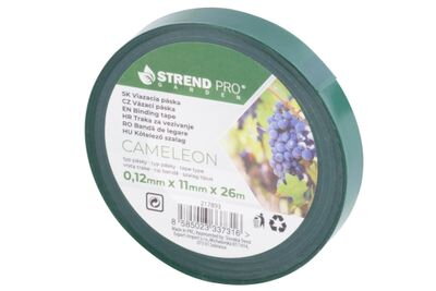 Paska Cameleon TA501, 26 m