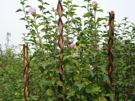 Tyc Garden Willow 130 cm, prútená