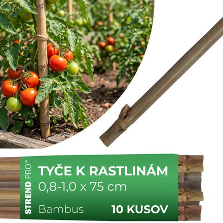 Tyc Garden KBT 0750/08-10 mm, 10 ks, bambus