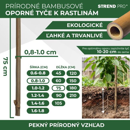 Tyc Garden KBT 0750/08-10 mm, 10 ks, bambus