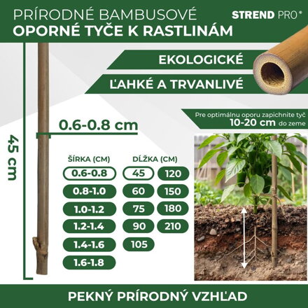 Tyc Garden KBT 0450/06-08 mm, 10 ks, bambus