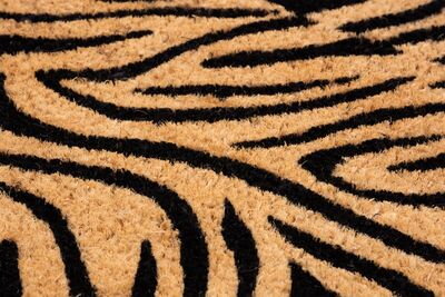 Rohozka MagicHome STM 263, Zebra, 40x60 cm