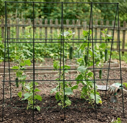 Sieť na uhorky s konštrukciou Strend Pro  1,8x1,8 m,