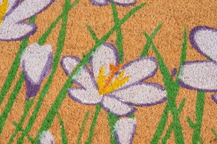 Rohožka MagicHome, pred dvere, Flowers, kokos/pvc, 45x75 cm
