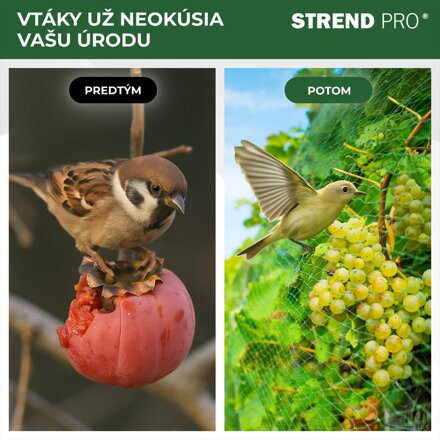 Sieť Strend Pro, 4x10 m, oko 18 mm, proti vtákom, PE