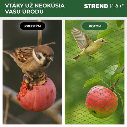 Sieť Strend Pro, 4x10 m, oko 18 mm, proti vtákom, PE