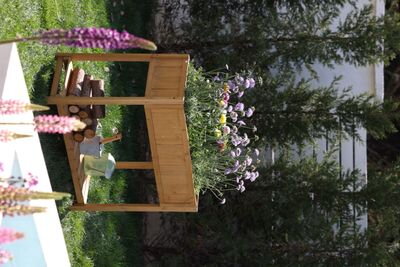 Záhon Strend Pro Garden, 89x33x76 cm, so spodnou policou, drevo, vyvýšený, s nohami