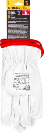 Rukavice Strend Pro Flavus, celokožené, veľkosť 8/M Rukavice Strend Pro Flavus, celokožené, veľkosť 8/M