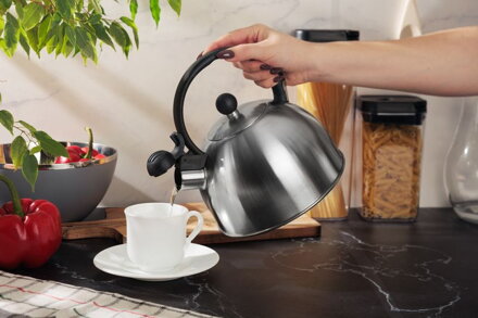 Čajník MagicHome, pískací, 2500 ml