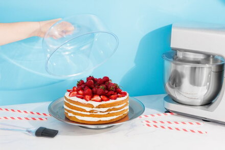 Box MagicHome, podnos na tortu, nerez, priehľadné veko, 31 cm