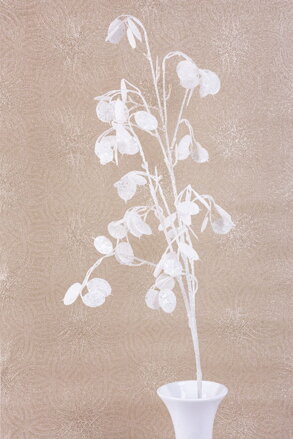 Vetvicka MoneyPlant.White, biela, 56/107 cm
