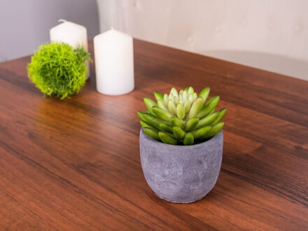 Dekoracia MagicHome, Sukulent, 11 cm, črepník- cement