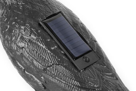 Plasic vtákov Havran čierny, solarny