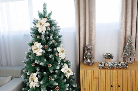 Kvet MagicHome Vianoce, Poinssetia, biela, stonka, bal. 6 ks Kvet MagicHome Vianoce, Poinssetia, biela, stonka, bal. 6 ks