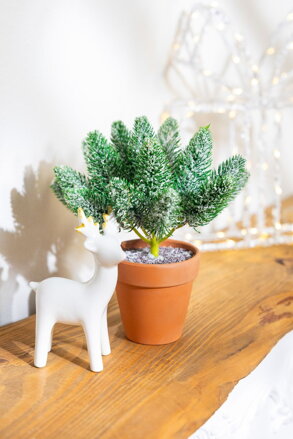 Dekorácia MagicHome Vianoce, vetvičky v črepníku, zasnežená, 20 cm Dekorácia MagicHome Vianoce, vetvičky v črepníku, zasnežená, 20 cm