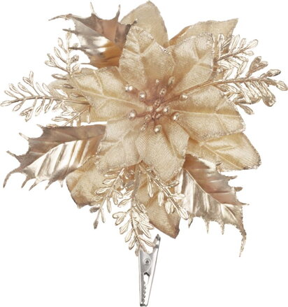 Kvet MagicHome Vianoce, poinsettia, champagne, 9,5 cm, veľkosť kvetu: 13 cm