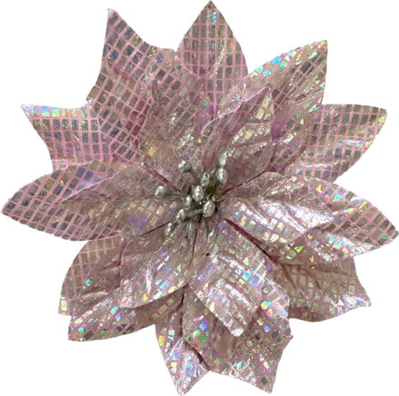 Kvet MagicHome Vianoce, poinsettia, fialový, 12 cm