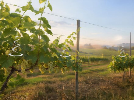 Plašič vtákov Strend Pro, špirála, bal. 3ks