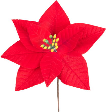 Kvet MagicHome Vianoce, Poinssetia, červená, 21 cm, veľkosť kvetu: 16,5 cm