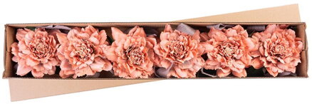 X Kvet MagicHome, pivónia, so stuhou, marhuľová, stonka, veľkosť kvetu: 17 cm, dĺžka kvetu: 37 cm,bal. 6 ks X Kvet MagicHome, pivónia, so stuhou, marhuľová, stonka, veľkosť kvetu: 17 cm, dĺžka kvetu: 37 cm,bal. 6 ks